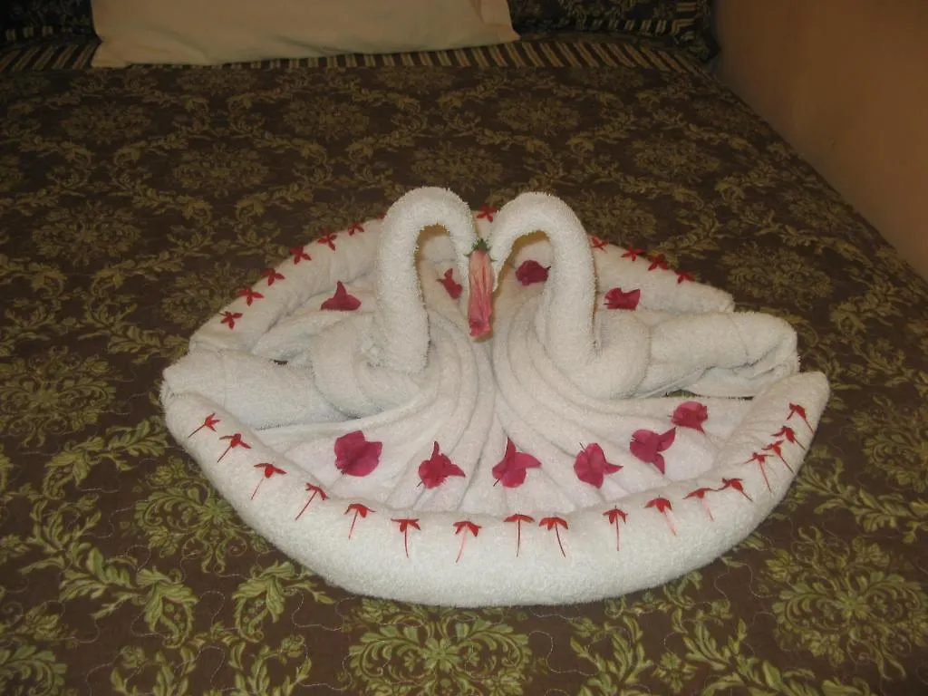 Executive Shaw Park Guest House Ocho Rios Jamaica